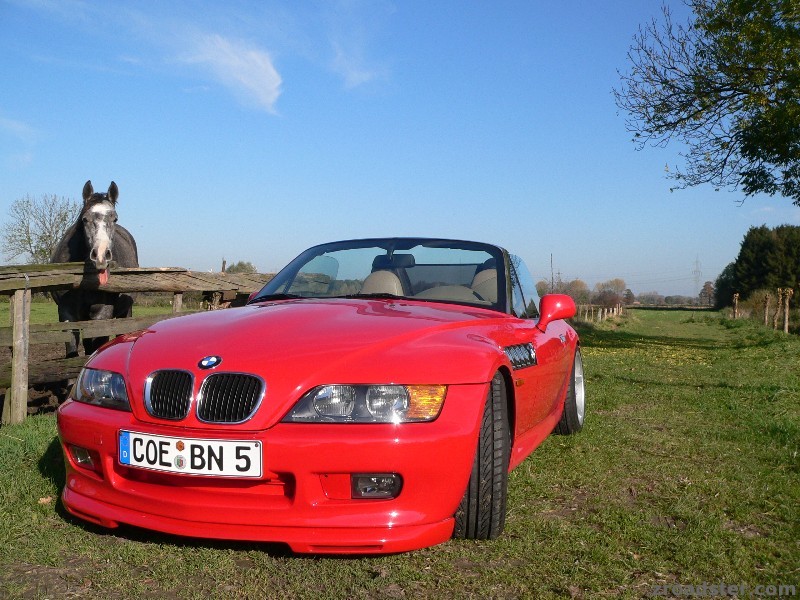 BÄÄÄHHH, was will der Zetti in meinem Revier?!?!?!?