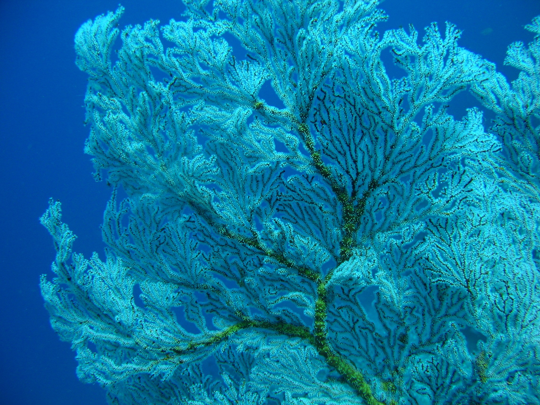 Bali_3013