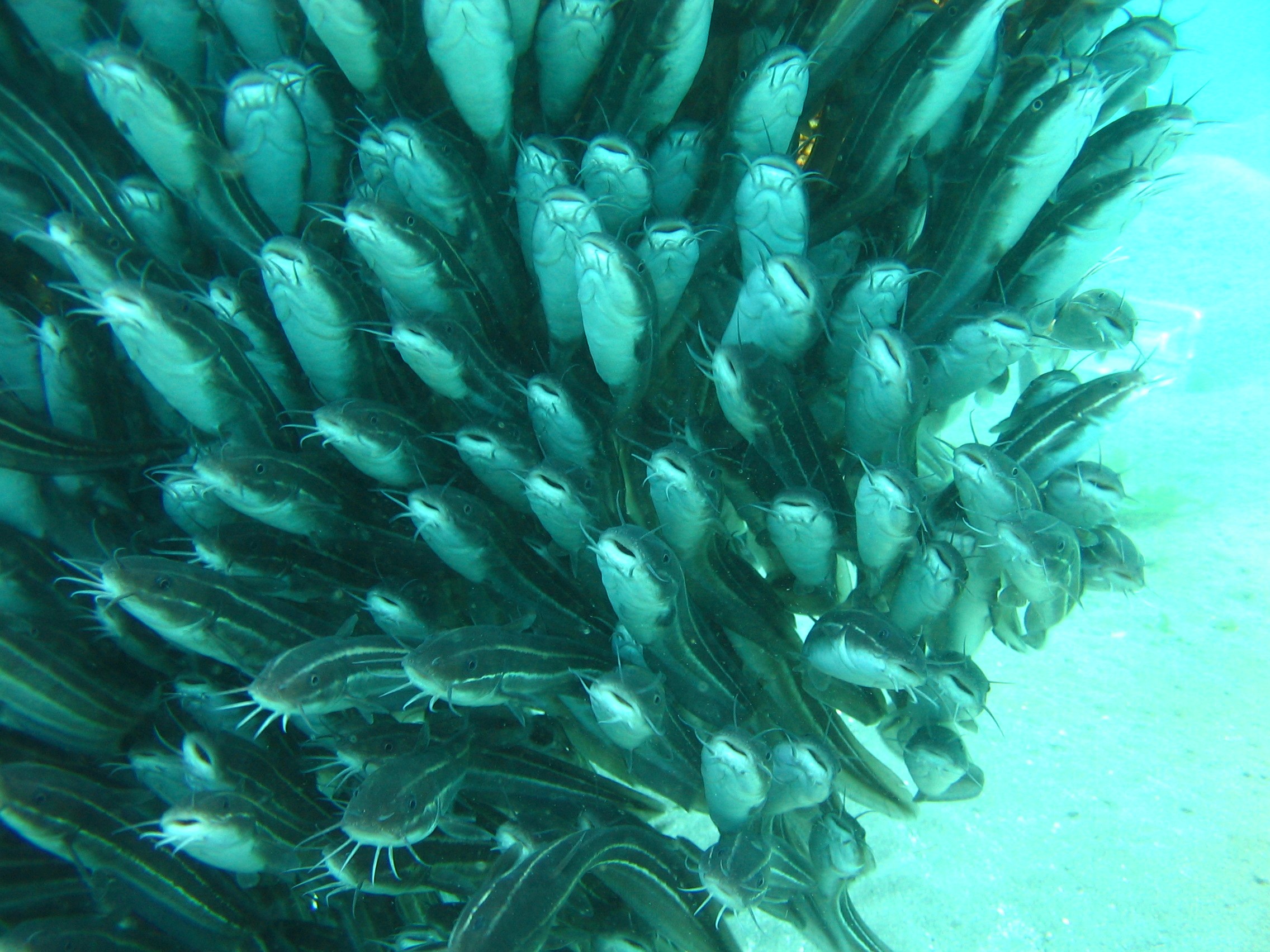Bali_3019