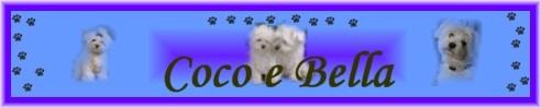 Banner_CocoeBElla_1_