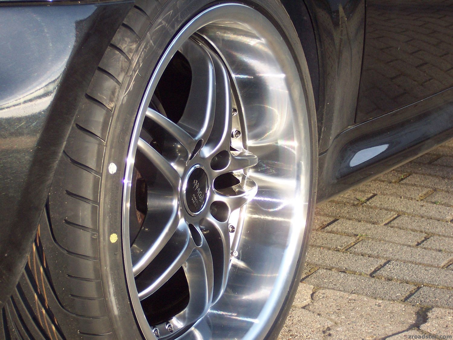 Barracuda`s