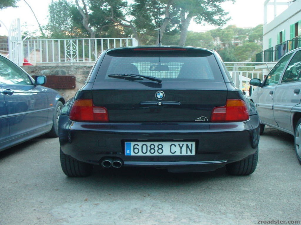 black back