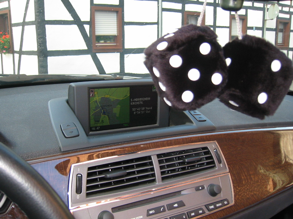 black fuzzy dice