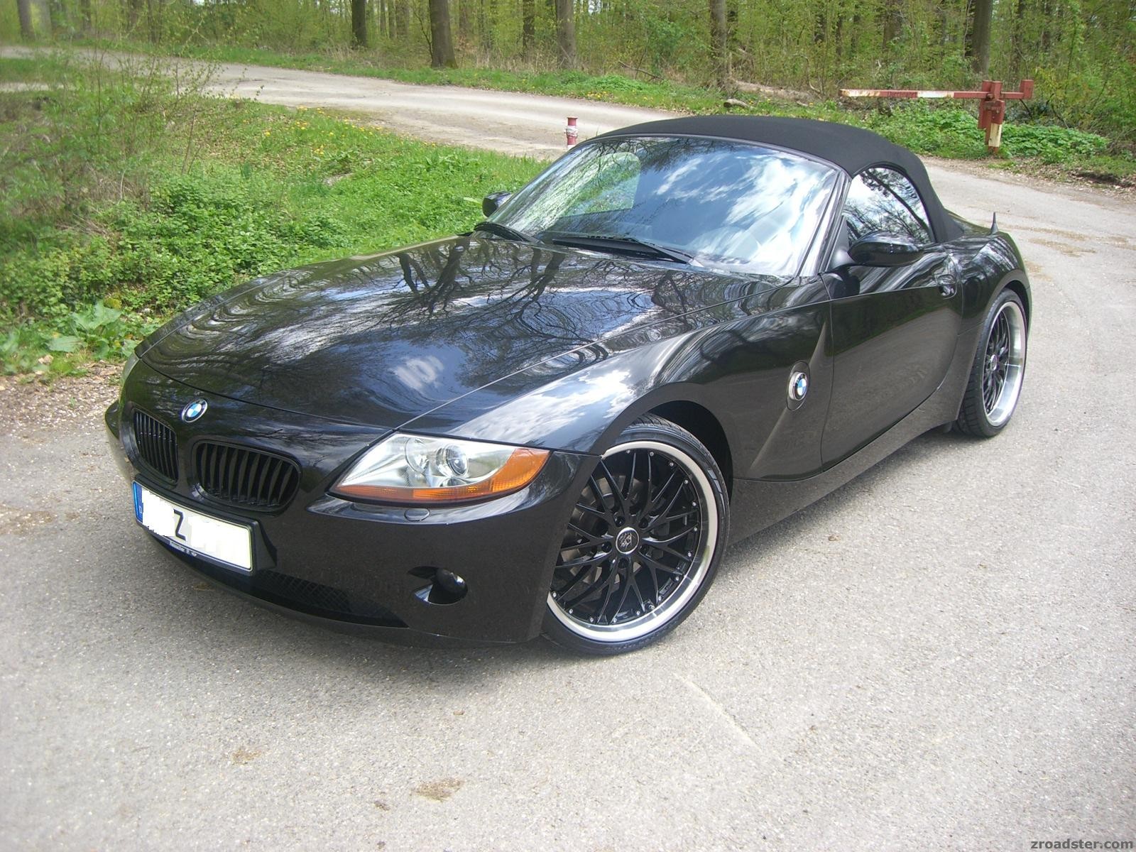 Black_Tiger_021