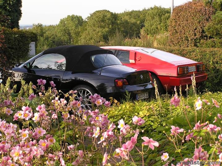 ....Blümchen für meine beiden Hobbys !