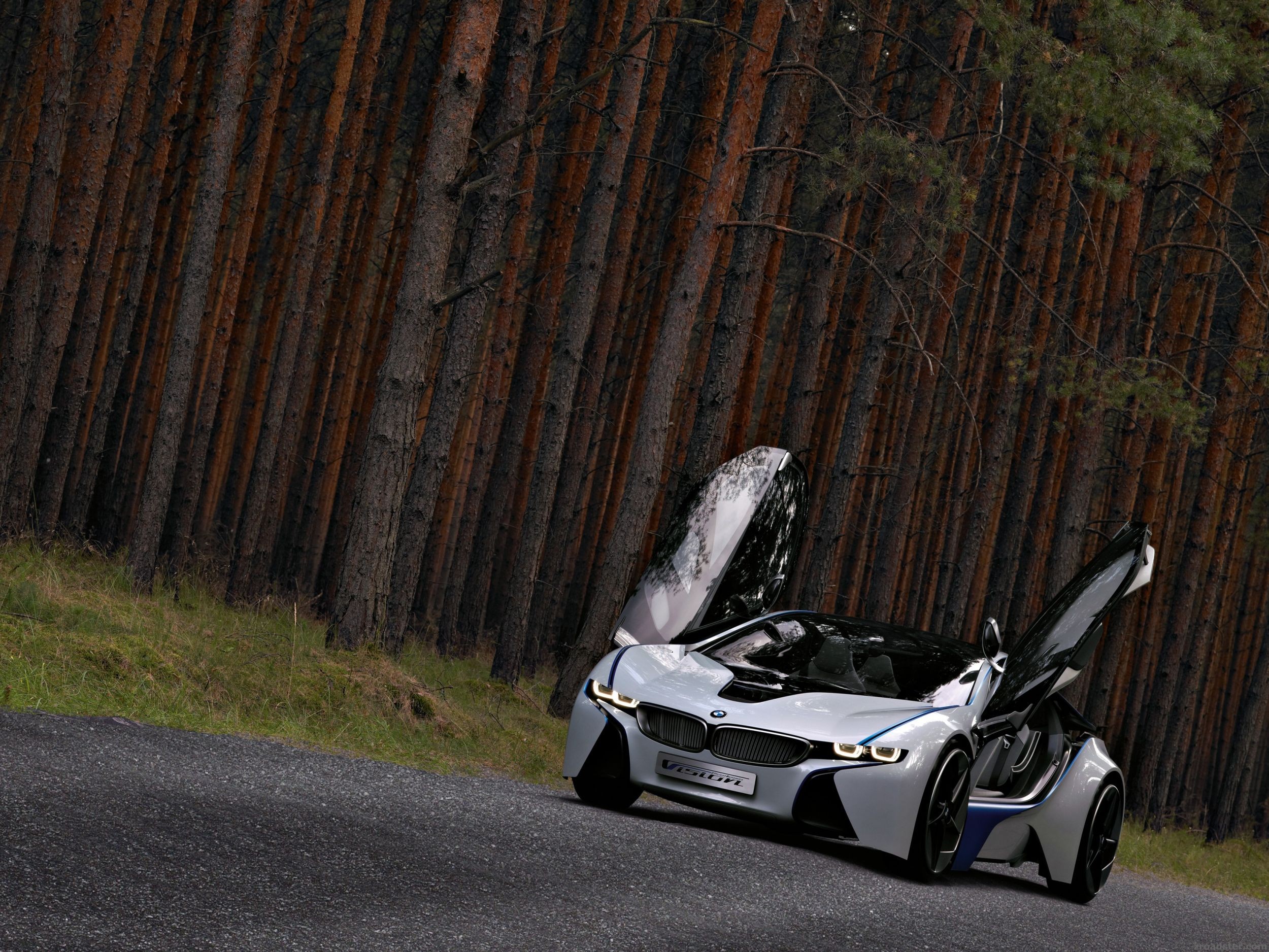 BMW Vision EfficientDynamics