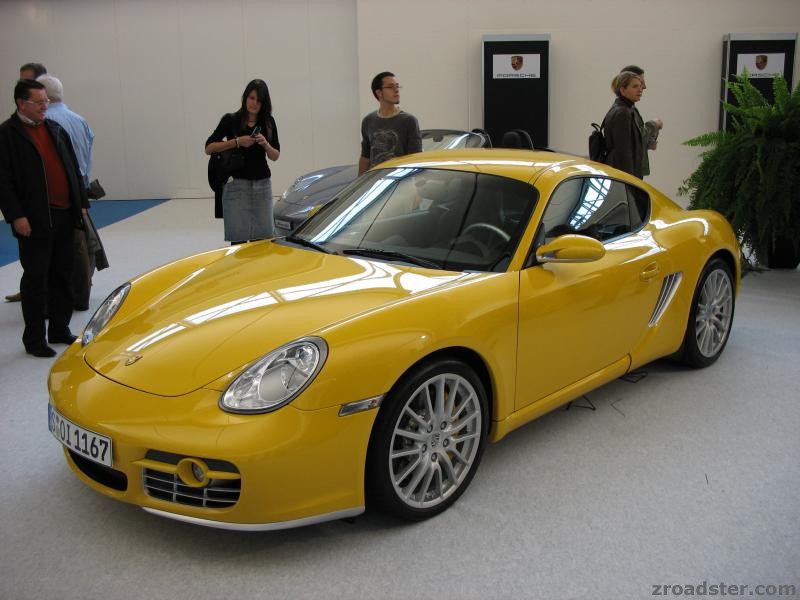 Cayman2