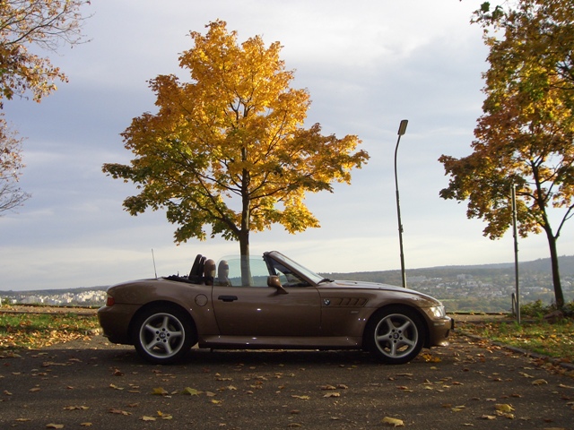Da wächst ein Baum aus dem Auto!