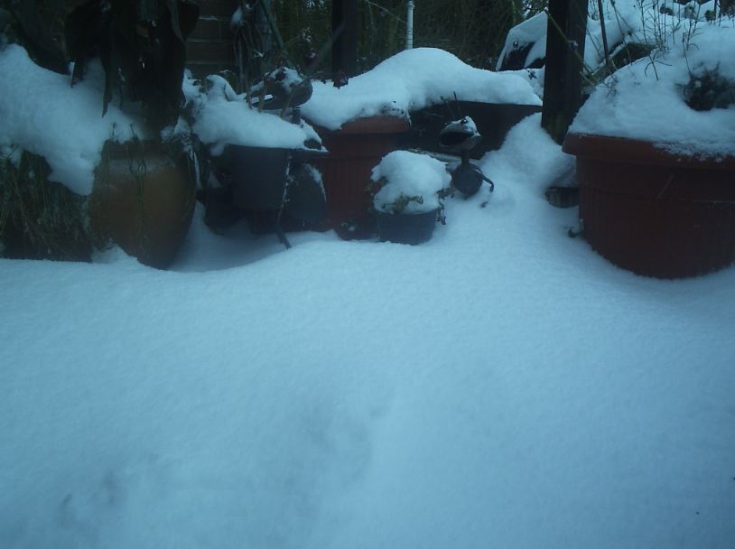 dec_9th_2012_20_alois_buecker_elena_buecker_1_st_snow