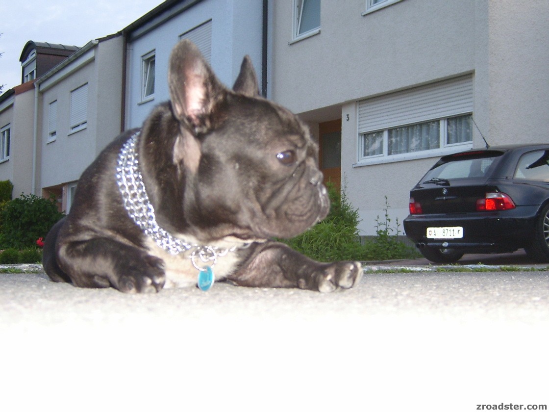 ...den hab ich zum Fressen gern