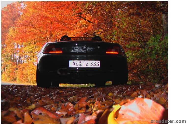 ... der Waldrand "brennt"