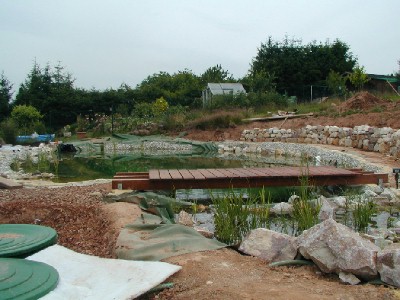 Die Brücke am Teich