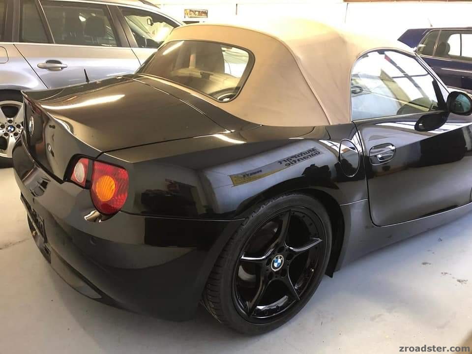 Die Diva Der erste Kontakt 11/2018