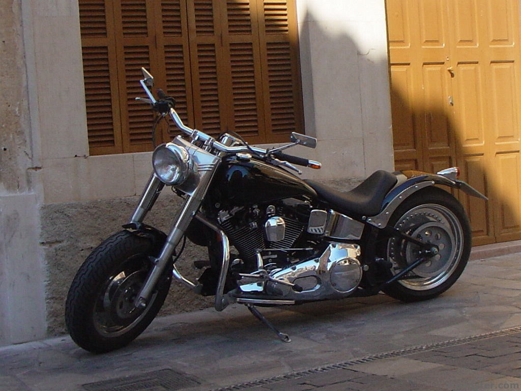 dream rider