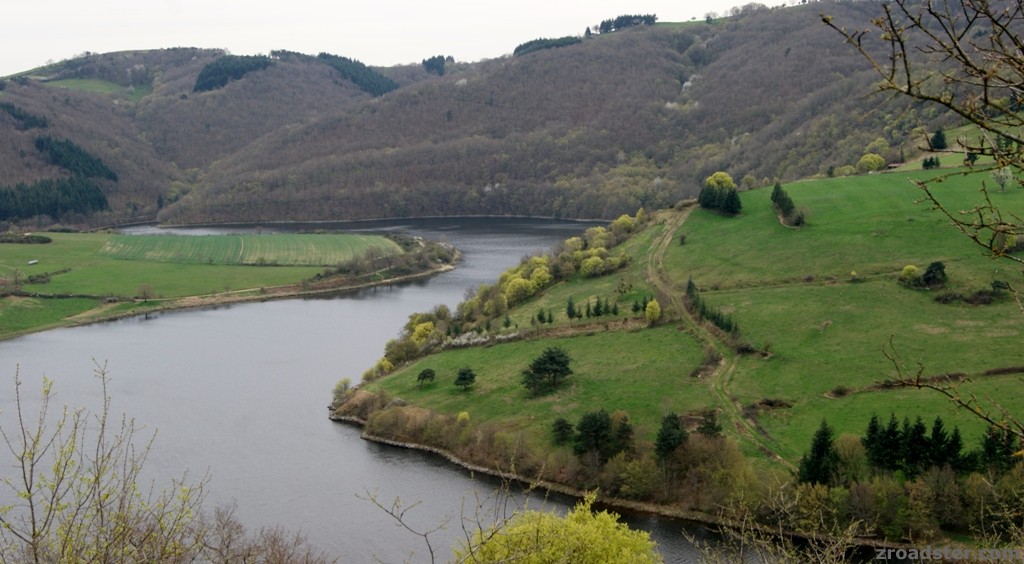 DSC7503