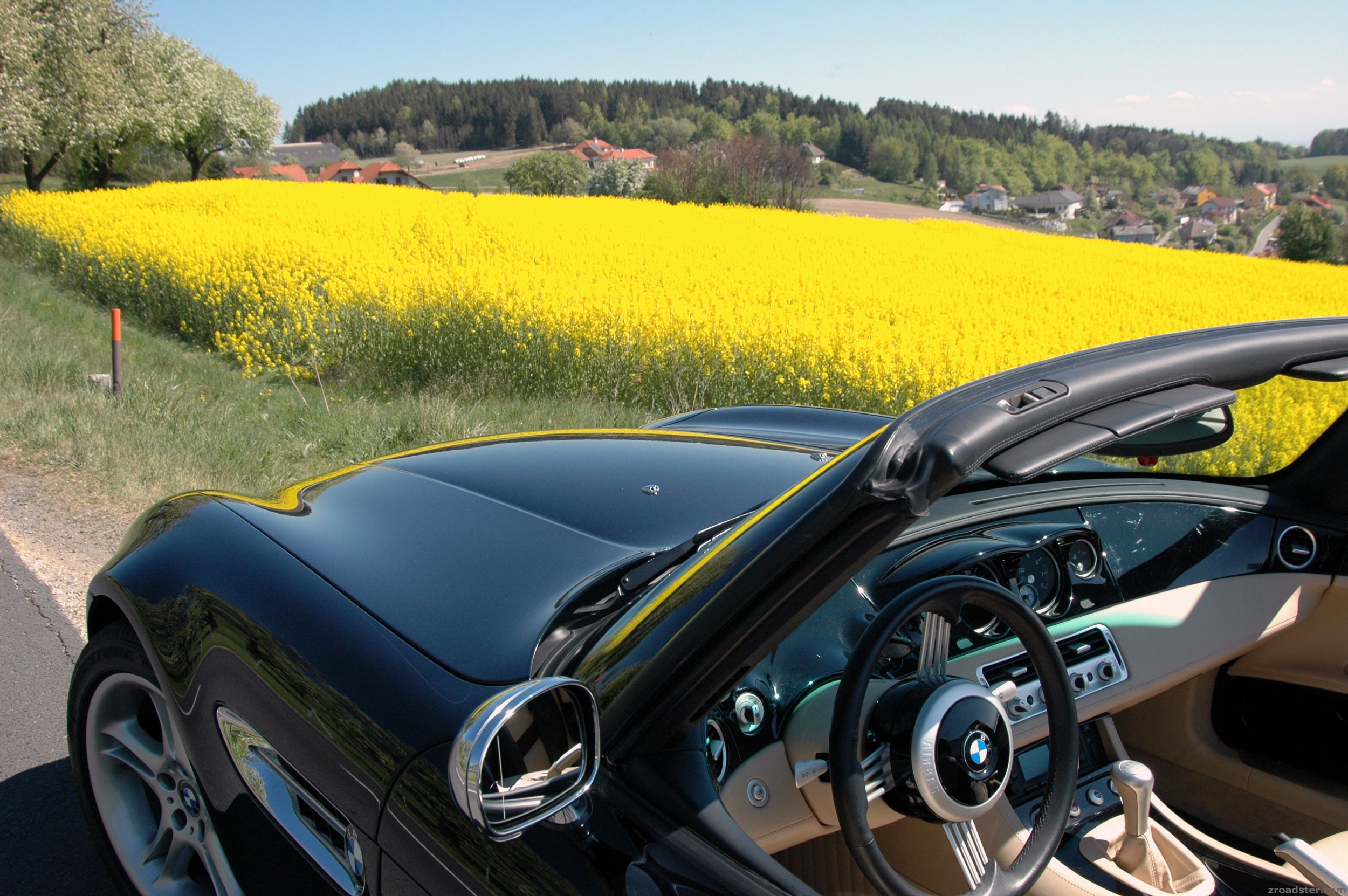 ein Sonntag im Frühling