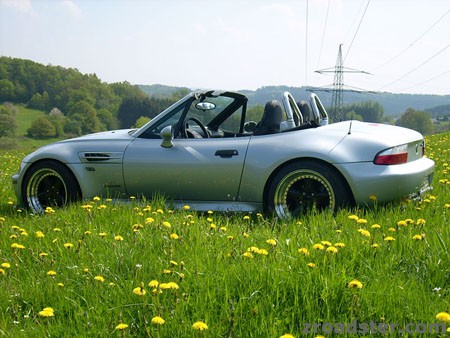 Endlich Frühling