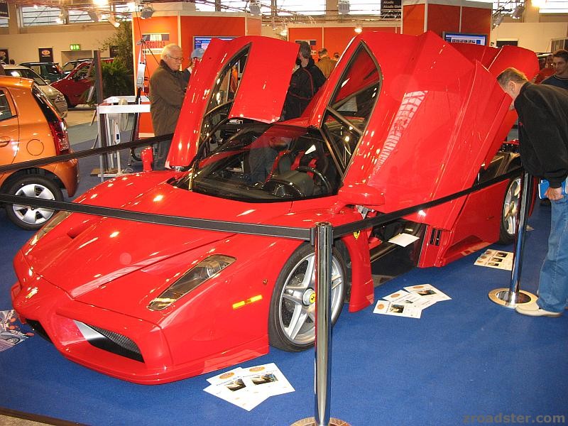 Enzo_aussen