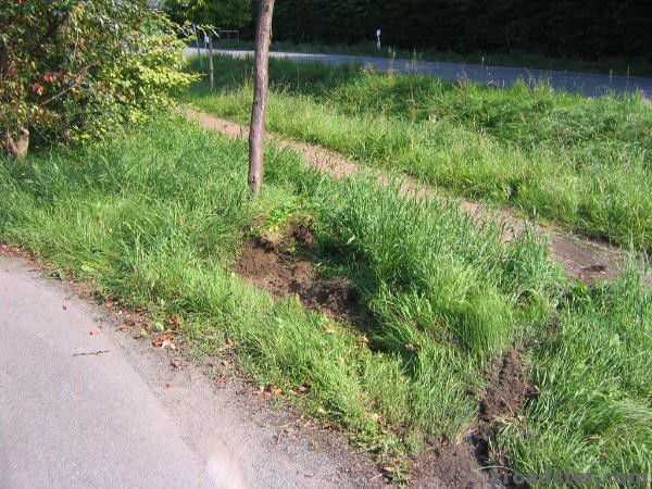 Extertal