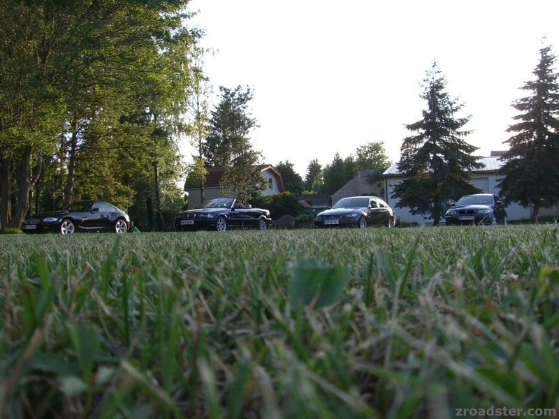 Family Come Together
