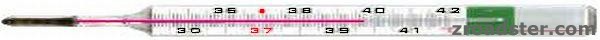 fieberthermometer