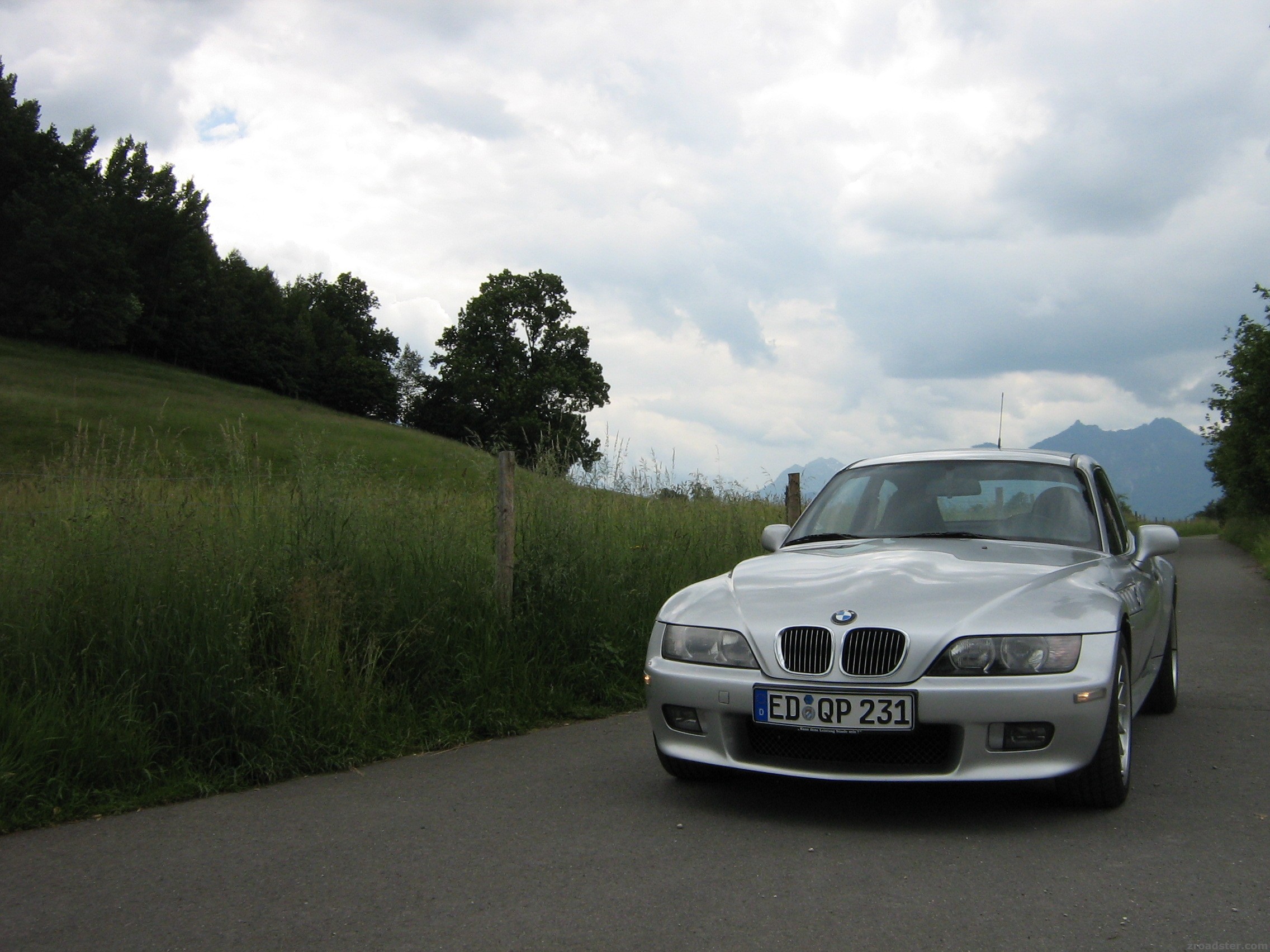 Freie Wildbahn