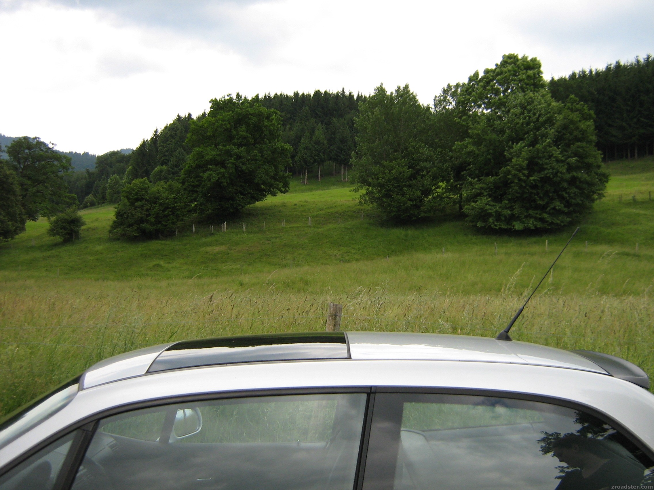 Freie Wildbahn