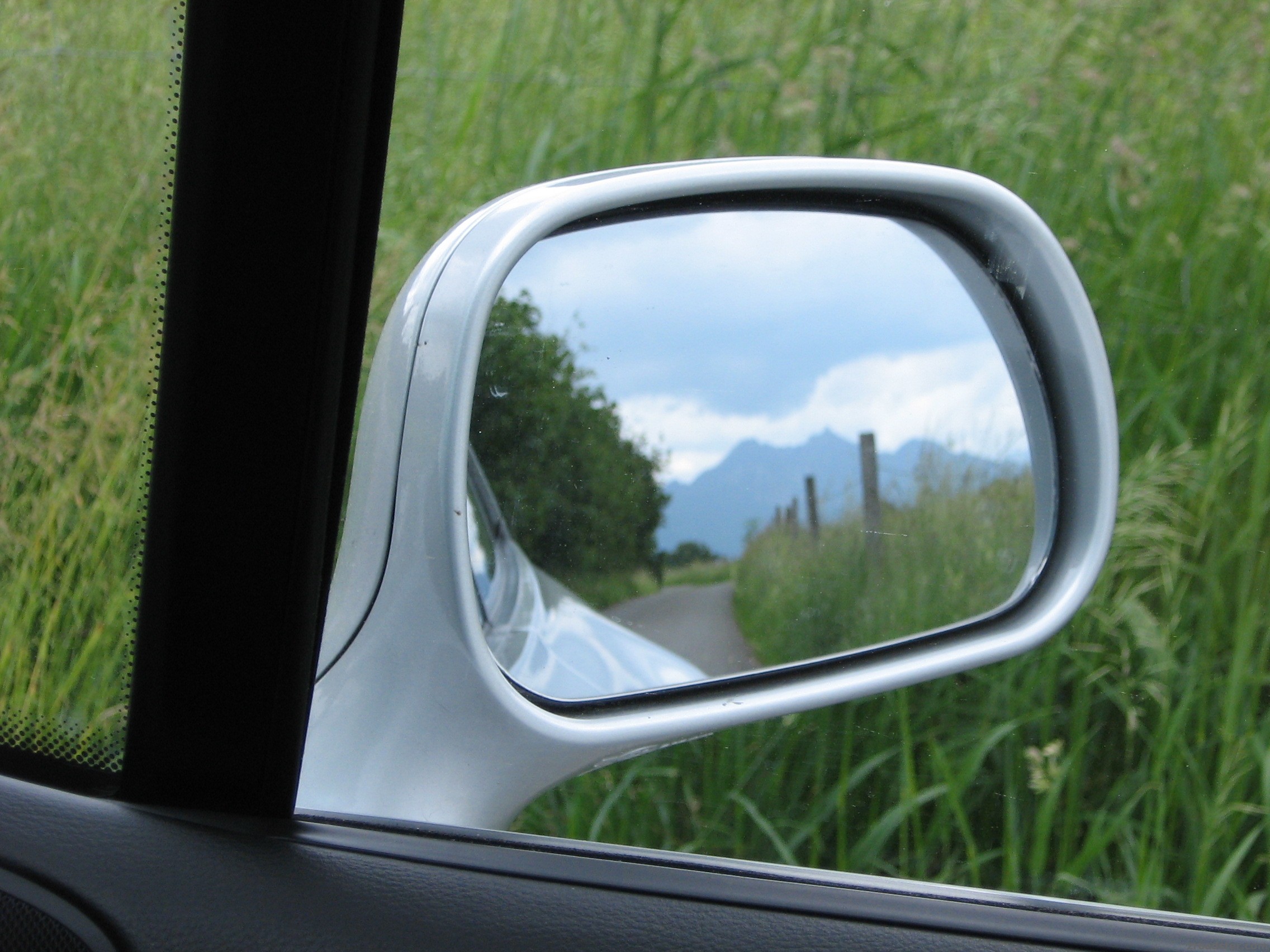 Freie Wildbahn