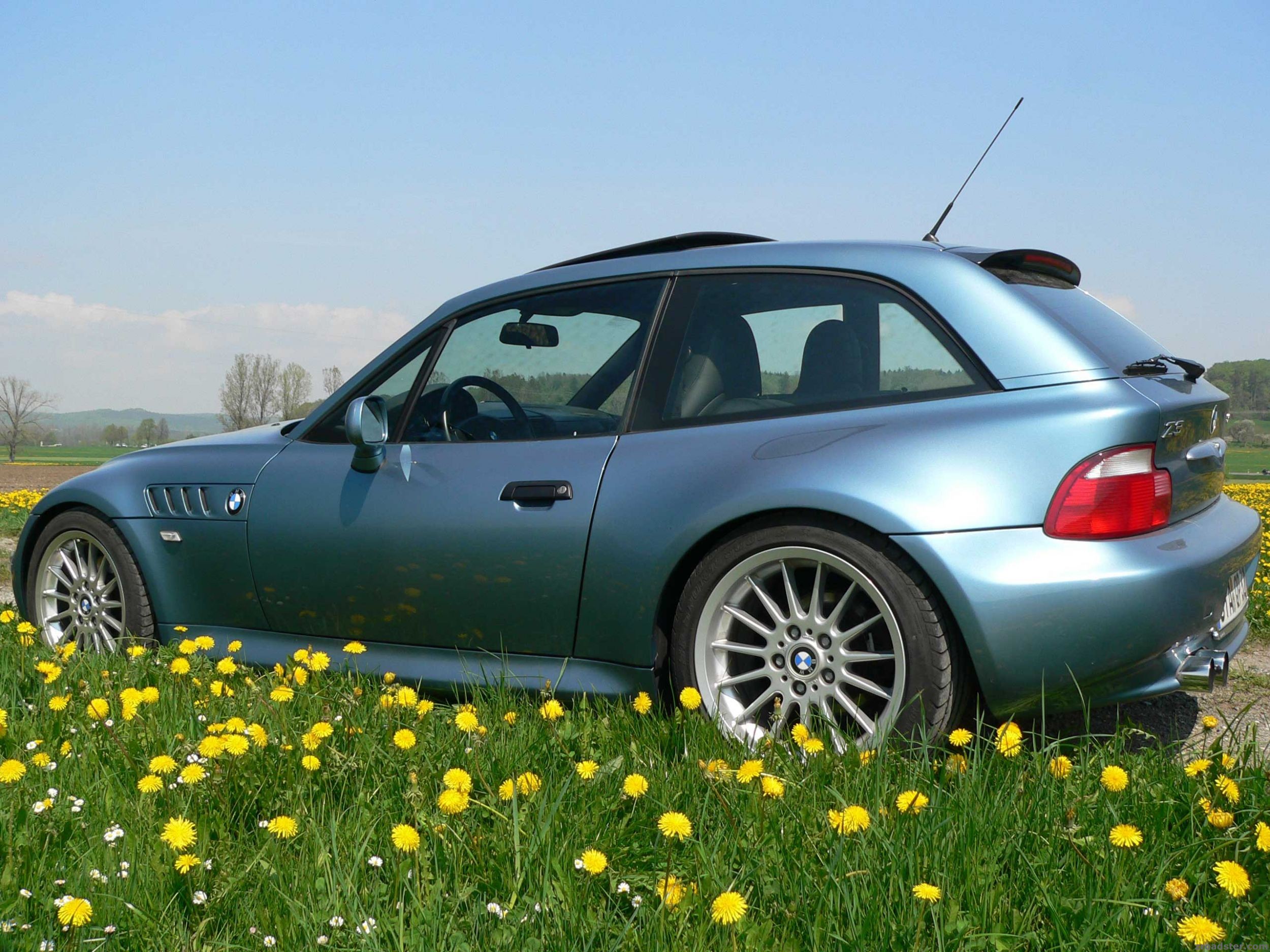 Frühling pur