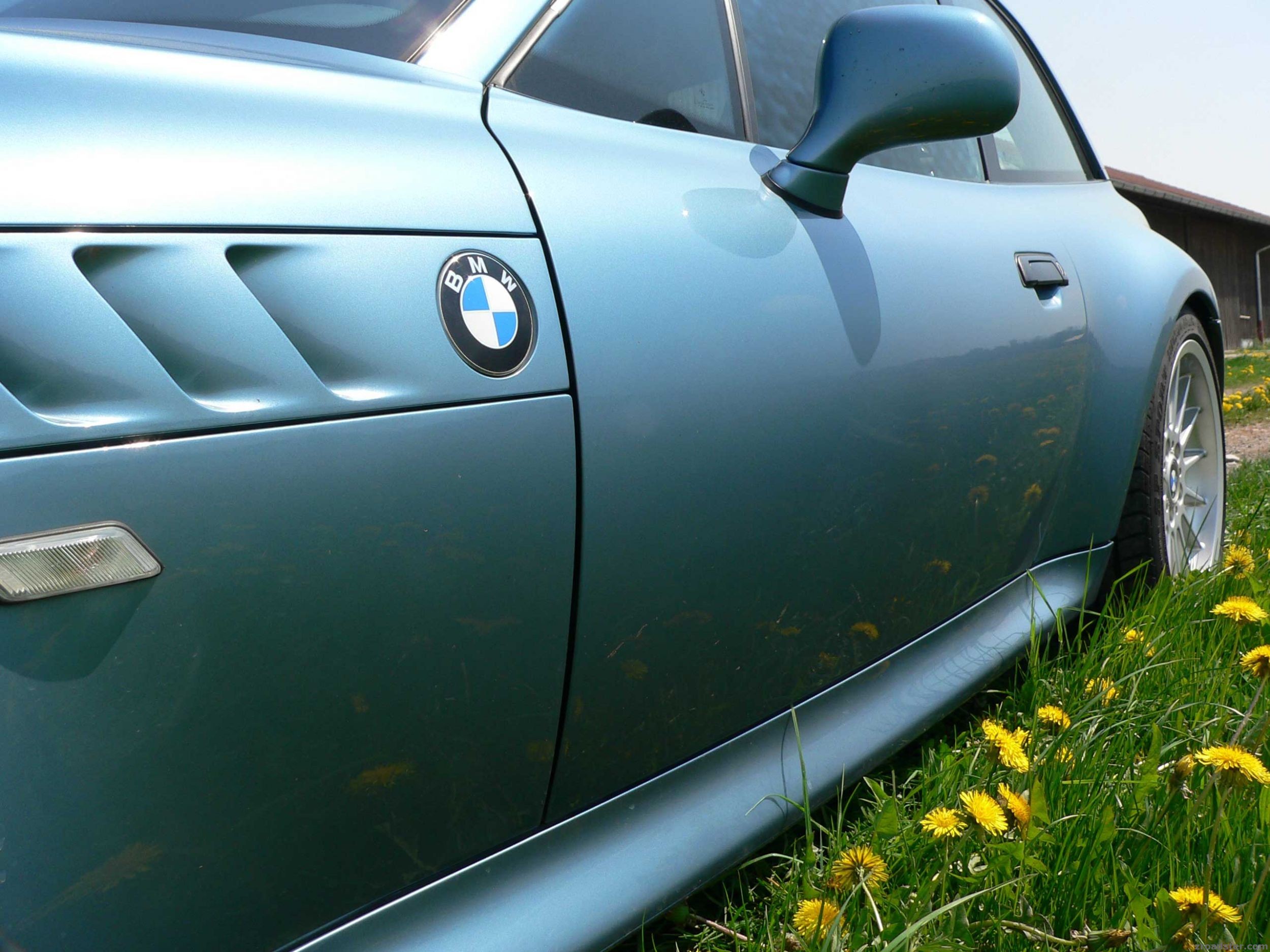 Frühling pur