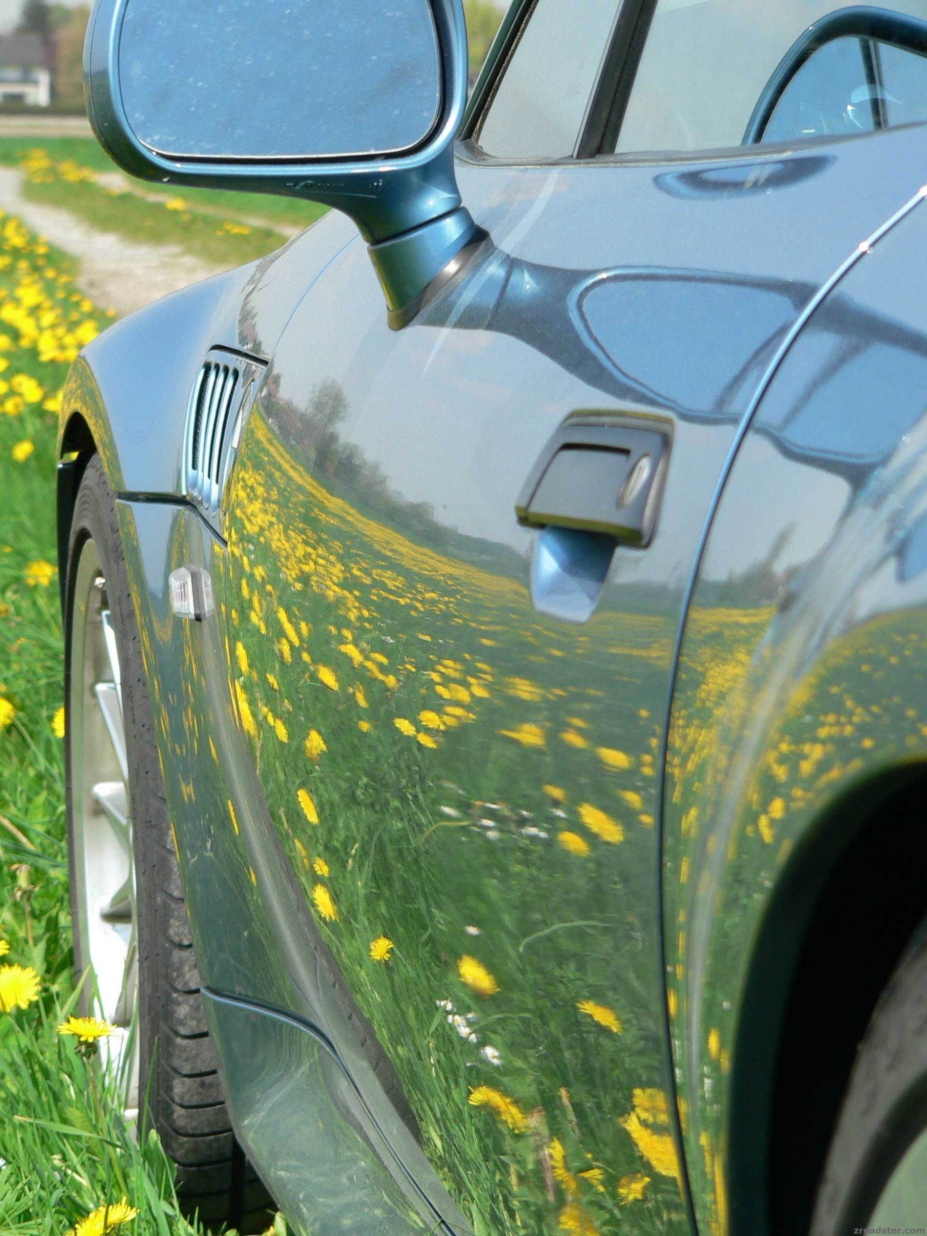 Frühling pur