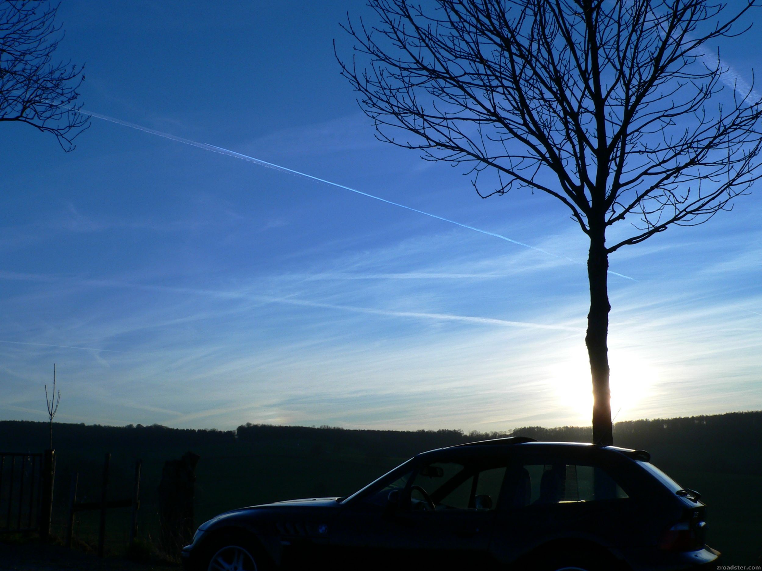 Gegenlicht