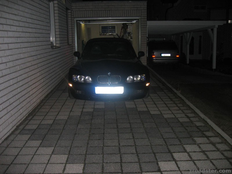 GrayFox nacht,vorne