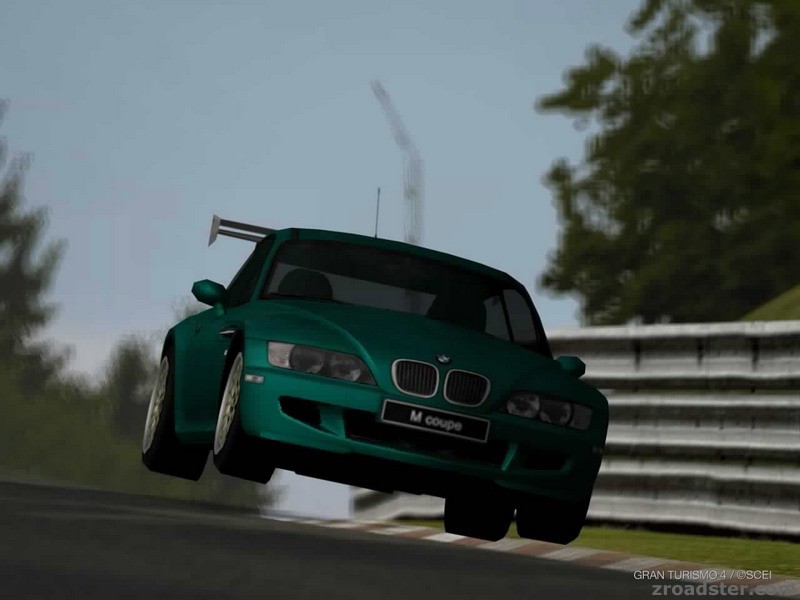 GT 4 Pflanzgarten 2