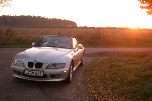 Herbst-Sig2