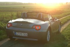 Herbst-Sig2