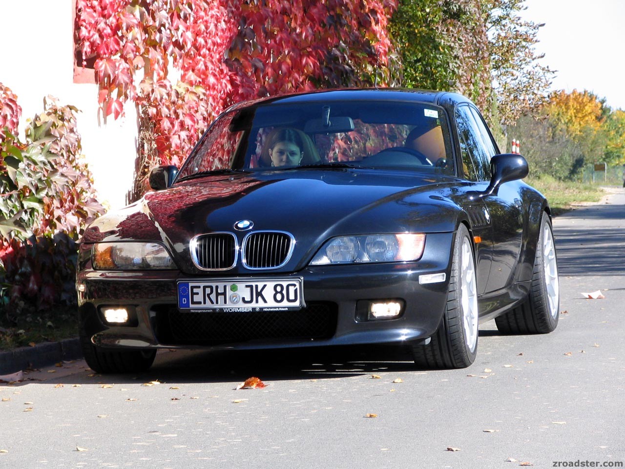 Herbst-Trip