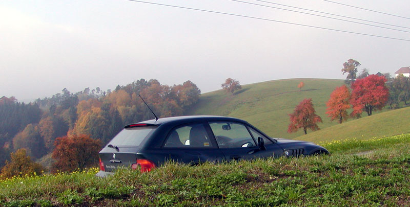 herbst-zeitlos ...
