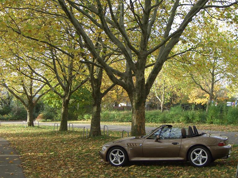 Herbstimpressionen 2