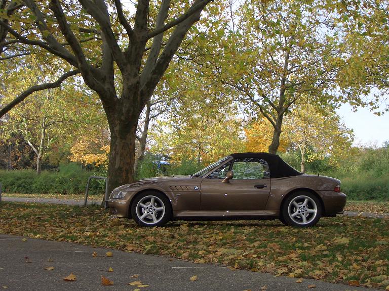 Herbstimpressionen 4