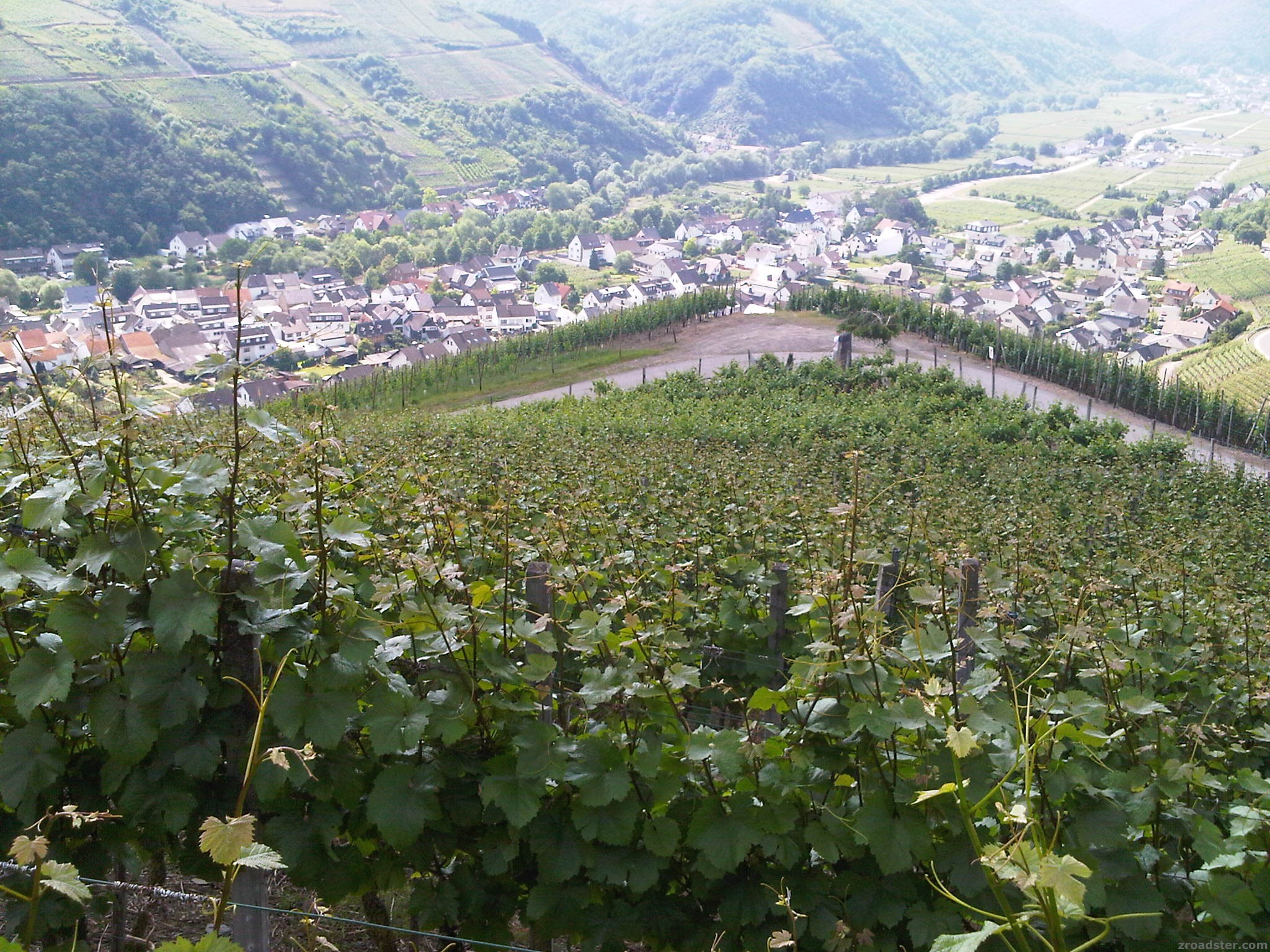 IMG00033-20100626-1107