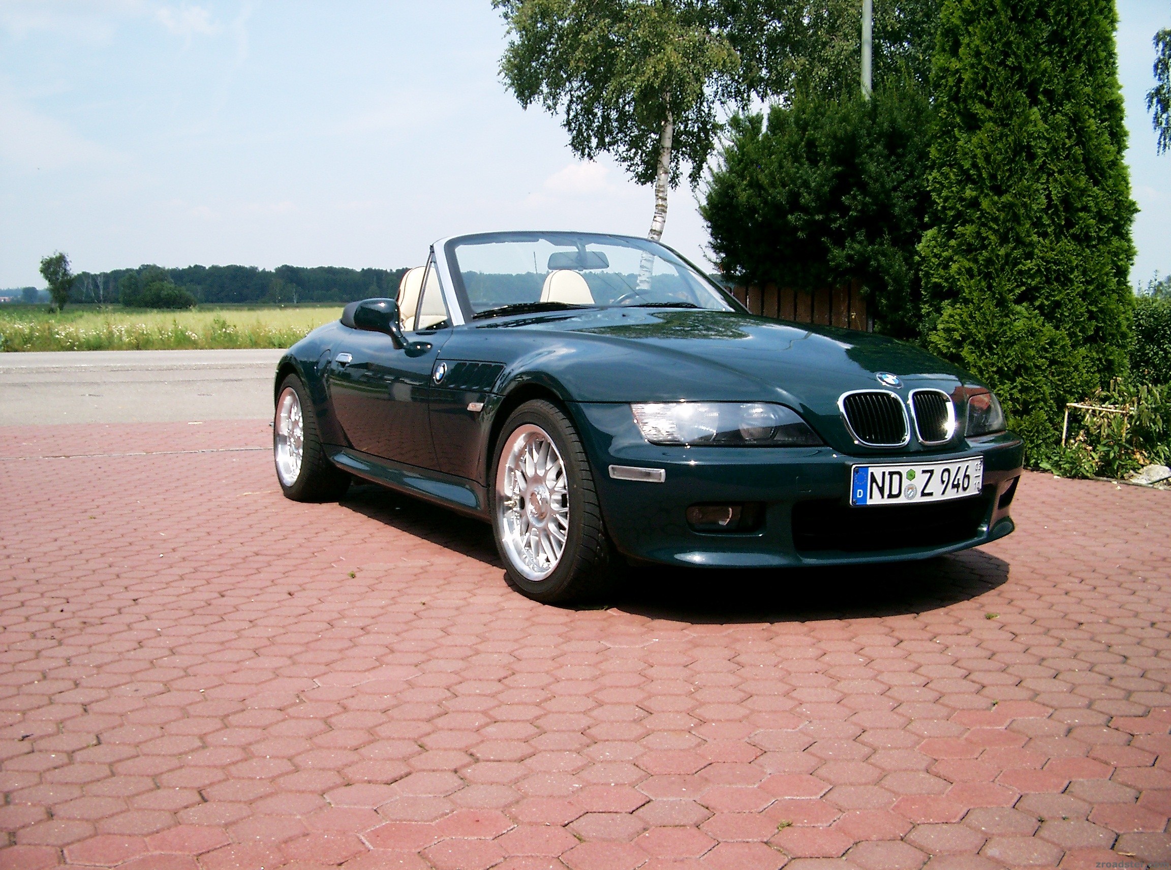 IMGP4550