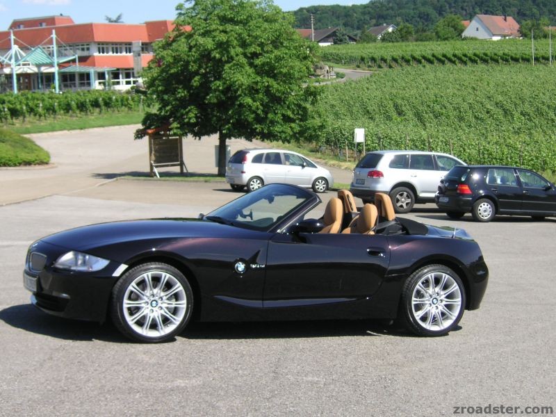 In den Weinbergen