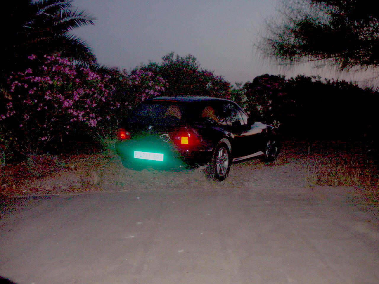 ... in the dark II