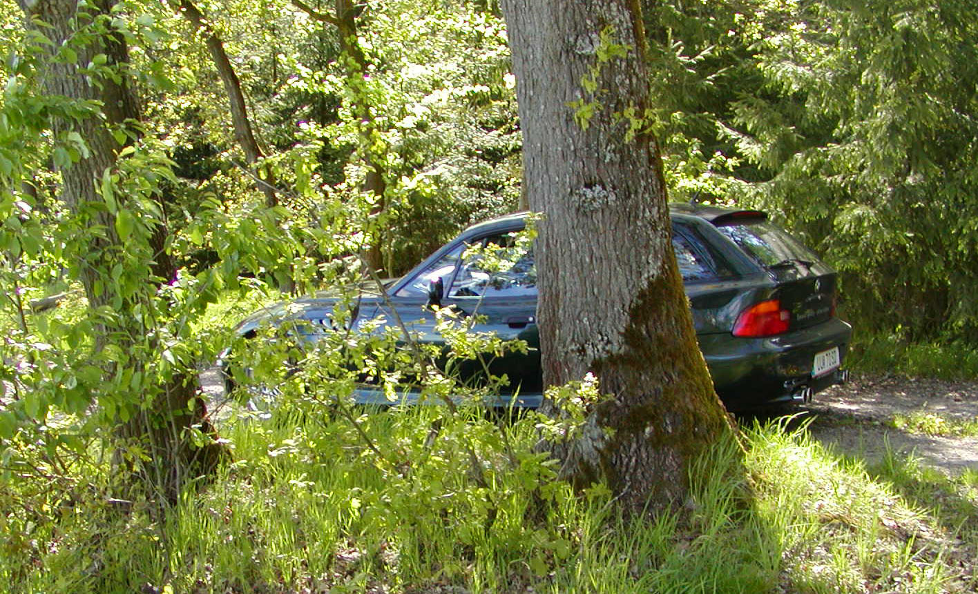 in the woods - the other side ...