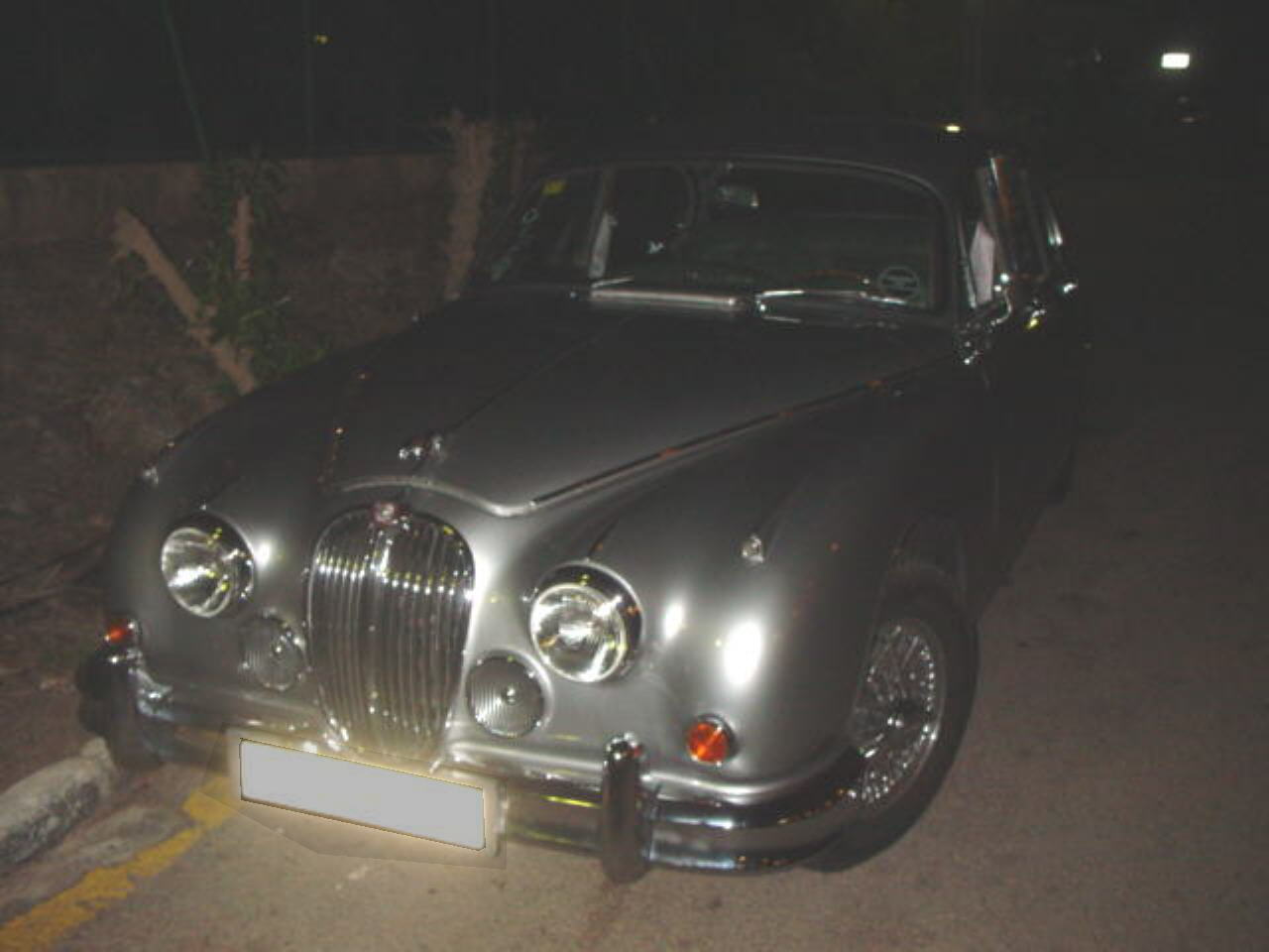 jag at night
