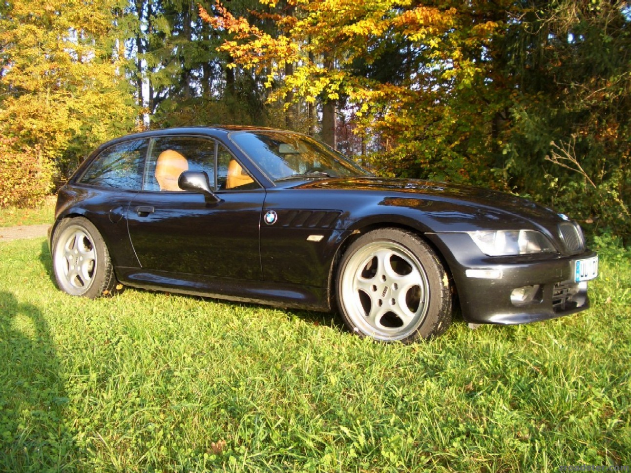 letzte Sonnenstrahlen 2005