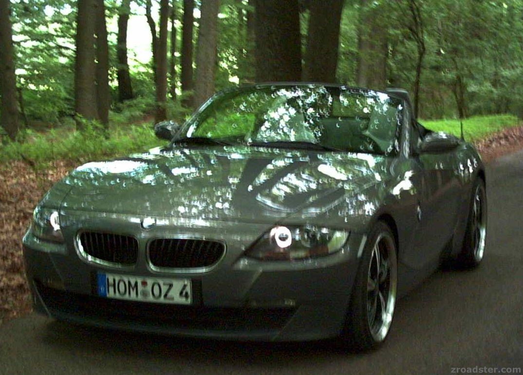 Lichtspiele im Wald