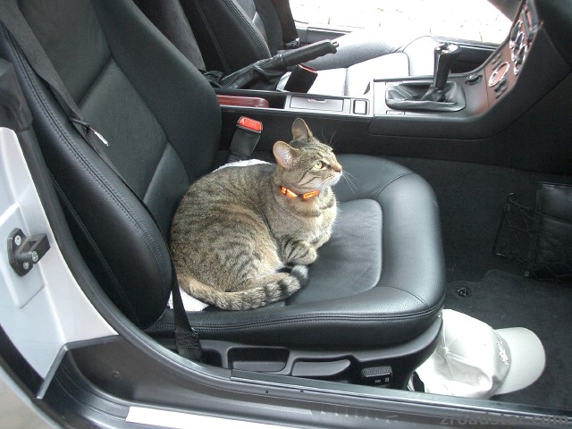 Lucie hilft beim Auto putzen