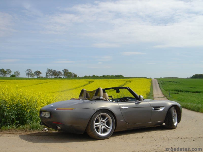 "May"n Z8